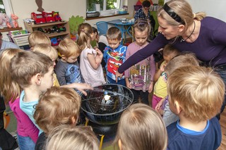 Przedszkolaki sięgają gwiazd